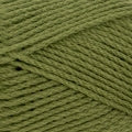 Patons Totem 8 ply - Coriander - 4410