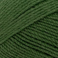 Patons Totem 8 ply - Shamrock - 4406