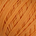 Patons Totem 8 ply - Acacia - 4445