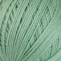 Cleckheaton Country 8 ply 2397 - Finger Lime