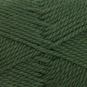 Heirloom Merino Magic Chunky 6577 - Basil