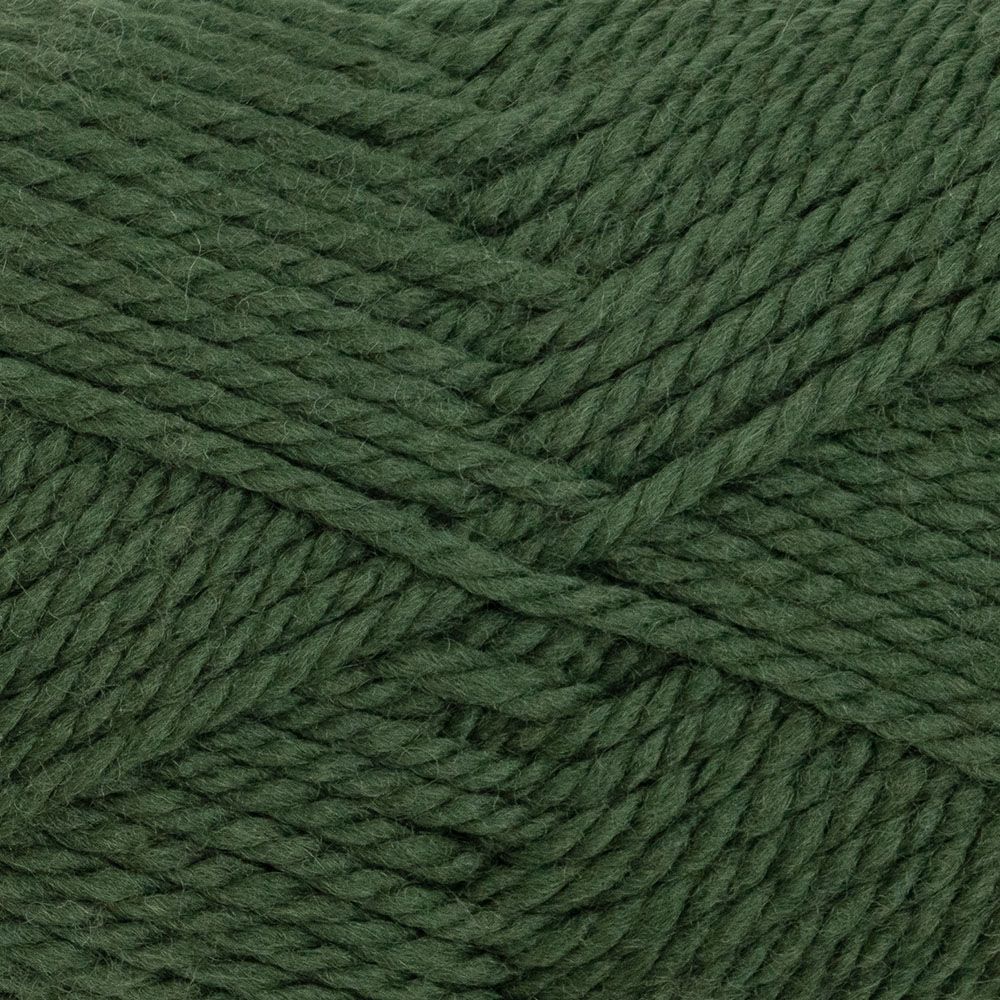 Heirloom Merino Magic Chunky 6577 - Basil