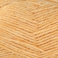Patons Aria 12 ply 7106 - Pollen