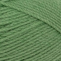 Patons Totem 8 ply - Catkin Green - 4429