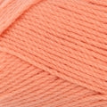 Patons Totem 8 ply - Lady Coral - 4444