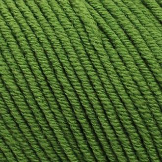Bellissimo Extra Fine Merino 8 Ply 210 - Green - Mooroolbark Wool