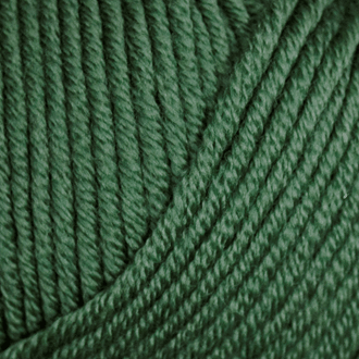 Bellissimo Extra Fine Merino 8 Ply 258 - Grass - Mooroolbark Wool