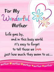 PNP417 wonderful mother