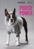 Book 365 - Pooch Power - Mooroolbark Wool