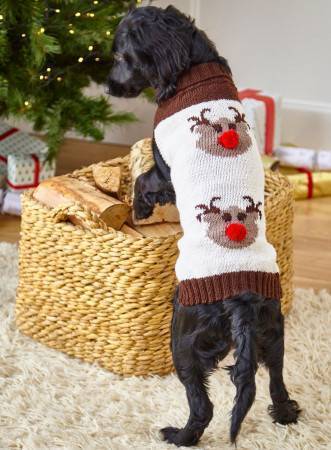 Book - King Cole Family Christmas Knits Book 1 - Mooroolbark Wool