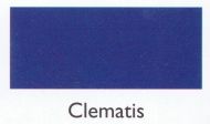 Clematis 100g - Mooroolbark Wool