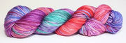 Fiori DK IV - 260054 Hummingbird