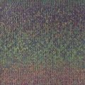 Heirloom Merino Magic Medley 8 ply Merino 7084 - Birdsong - Mooroolbark Wool