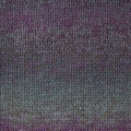 Heirloom Merino Magic Medley 8 ply Merino 7085 - Midnight Wisteria