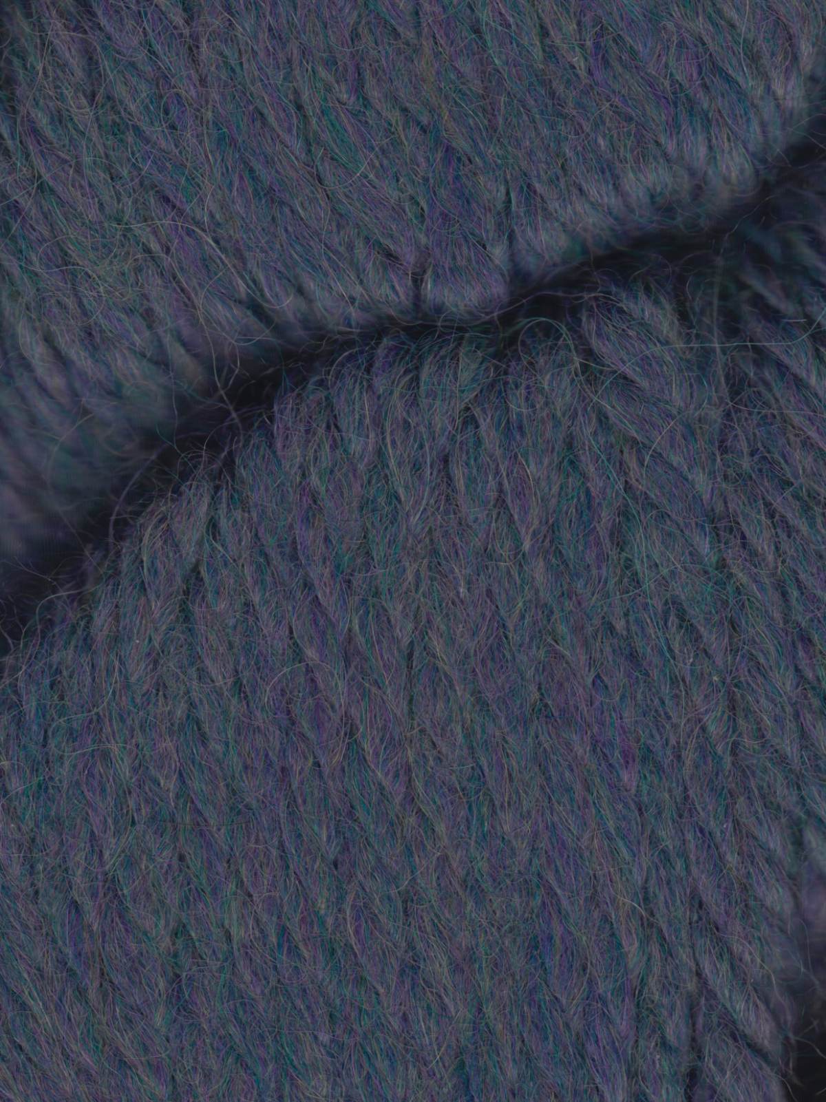 Juniper Moon Farm Herriot Great 148 - Atlantis