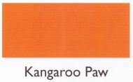 Kangaroo Paw 100g - Mooroolbark Wool