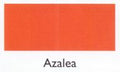 Azalea