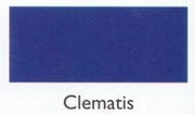 Clematis