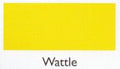 wattle.190