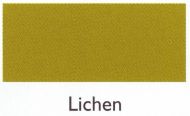 Lichen 100g - Mooroolbark Wool