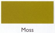 Moss 100g - Mooroolbark Wool