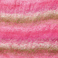 Panda Crypto 8 ply Acrylic 2 - Rose Garden - Mooroolbark Wool