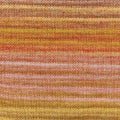 Patons Sierra 8 Ply 4797 - Arizona - Mooroolbark Wool
