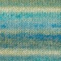Patons Sierra Chunky 6358 - Sagebrush Chunky - Mooroolbark Wool