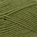 Patons Totem 8 ply 4410 - Coriander  SALE - Mooroolbark Wool