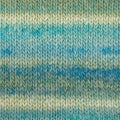 Patons Sierra Chunky 6358 - Sagebrush Chunky