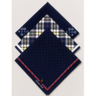 Rosdale Handkerchiefs Armando Caruso Mens Cello Wrapped (M412C) - Navy with pattern border - Mooroolbark Wool