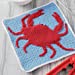 A picture of Dishcloths to Crochet, by Mooroolbark Wool, on a white background.